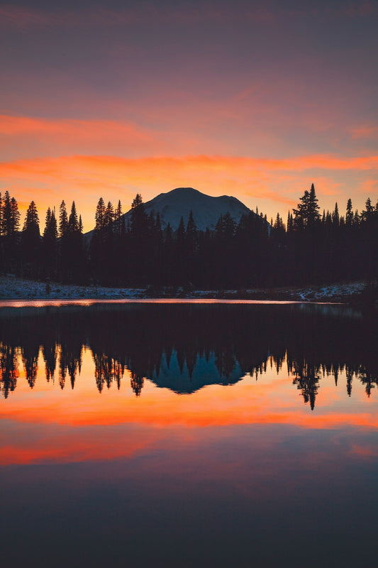 The Mental Health Benefits of Being in Nature